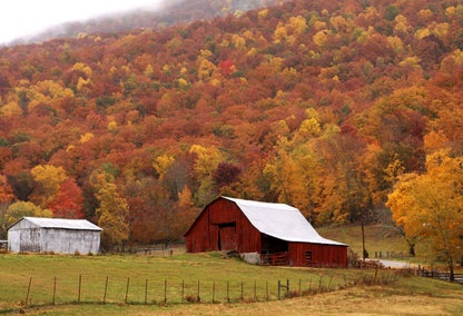 barn in autumn