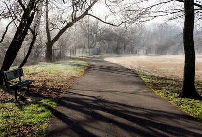 pathway on misty morning