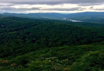 forested mountain range