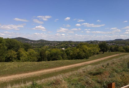dirt road through forest