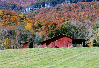 red barn in a field