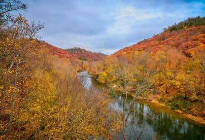 Savannah Lakes Forest in autumn