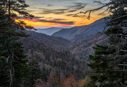 wooded valley at sunset