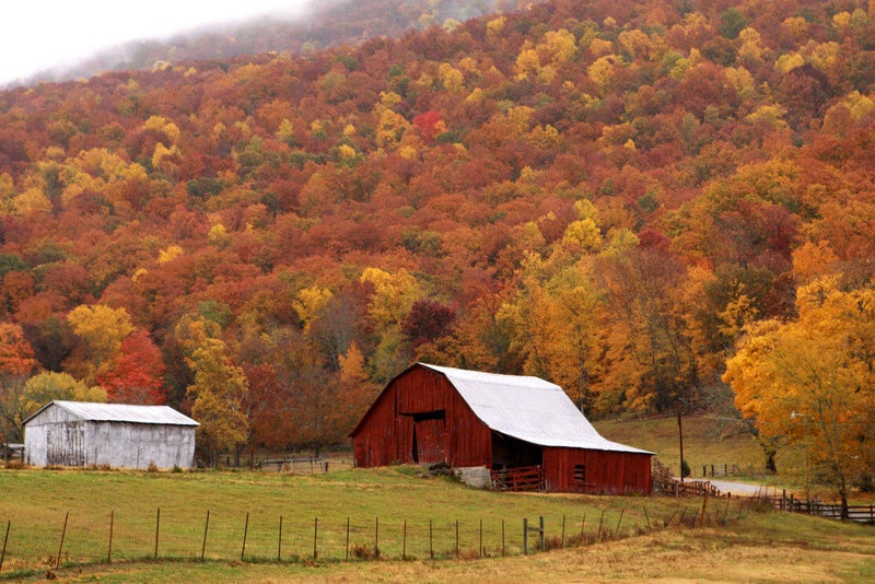 barn in autumn