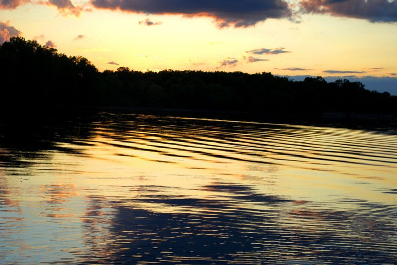 sunlight reflecting on water.