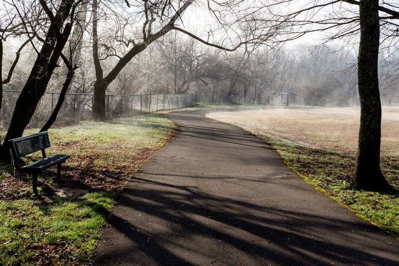 pathway on misty morning