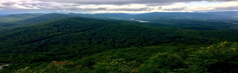 forested mountain range