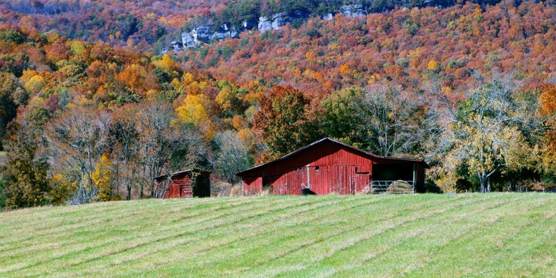 red barn in a field