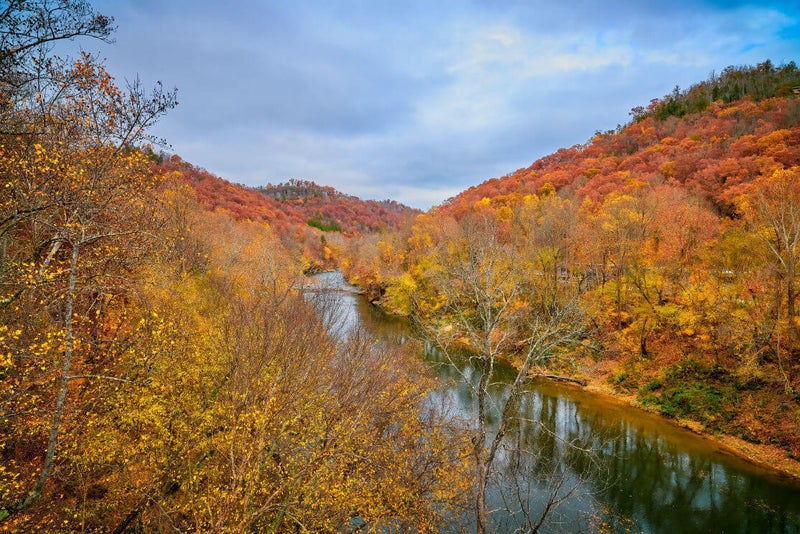 Savannah Lakes Forest in autumn