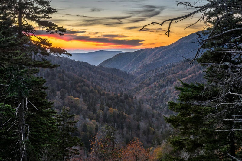 wooded valley at sunset